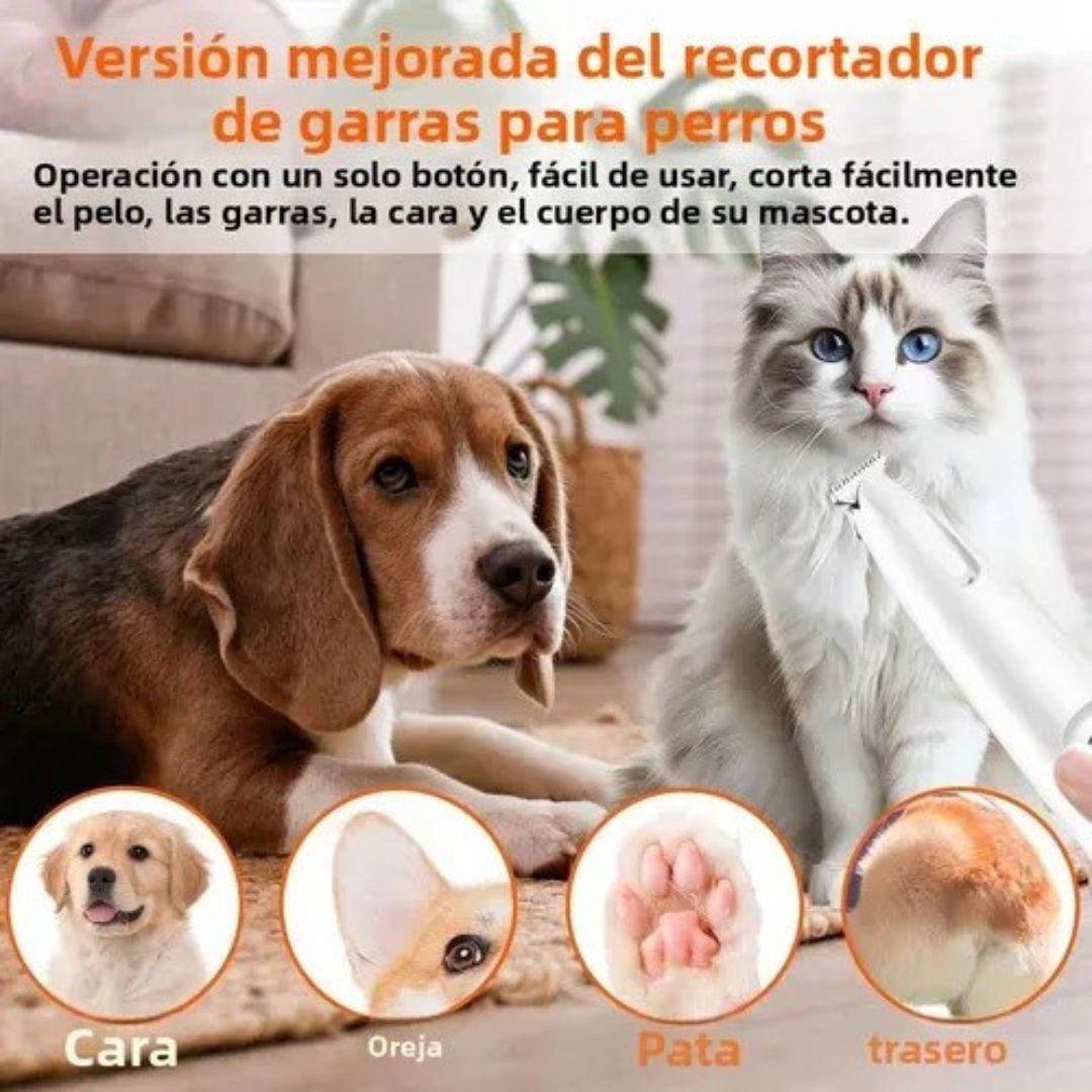 Encabezado